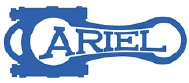Ariel
